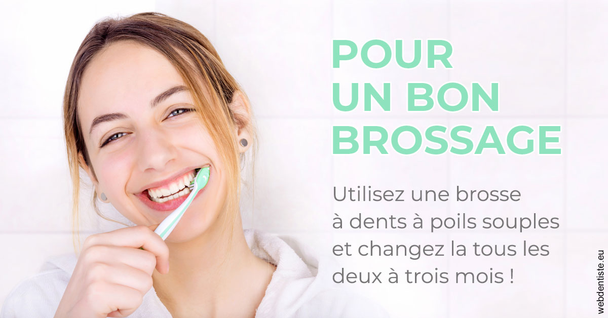 https://selarl-smile.chirurgiens-dentistes.fr/Pour un bon brossage 2
