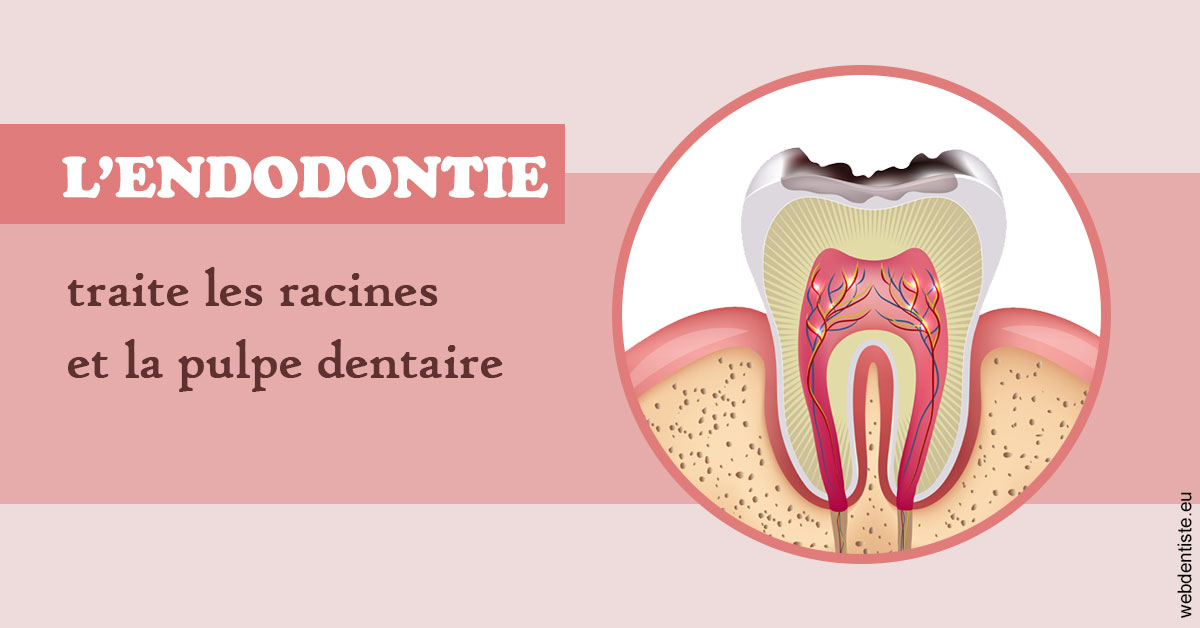 https://selarl-smile.chirurgiens-dentistes.fr/L'endodontie 2